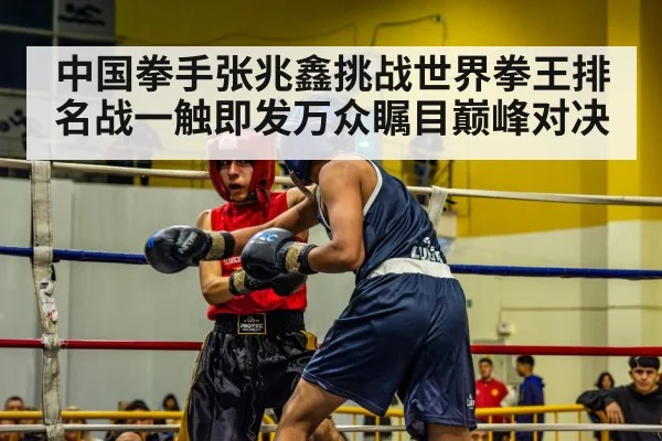 boxing match ring