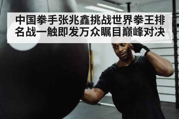 boxer punching heavy bag